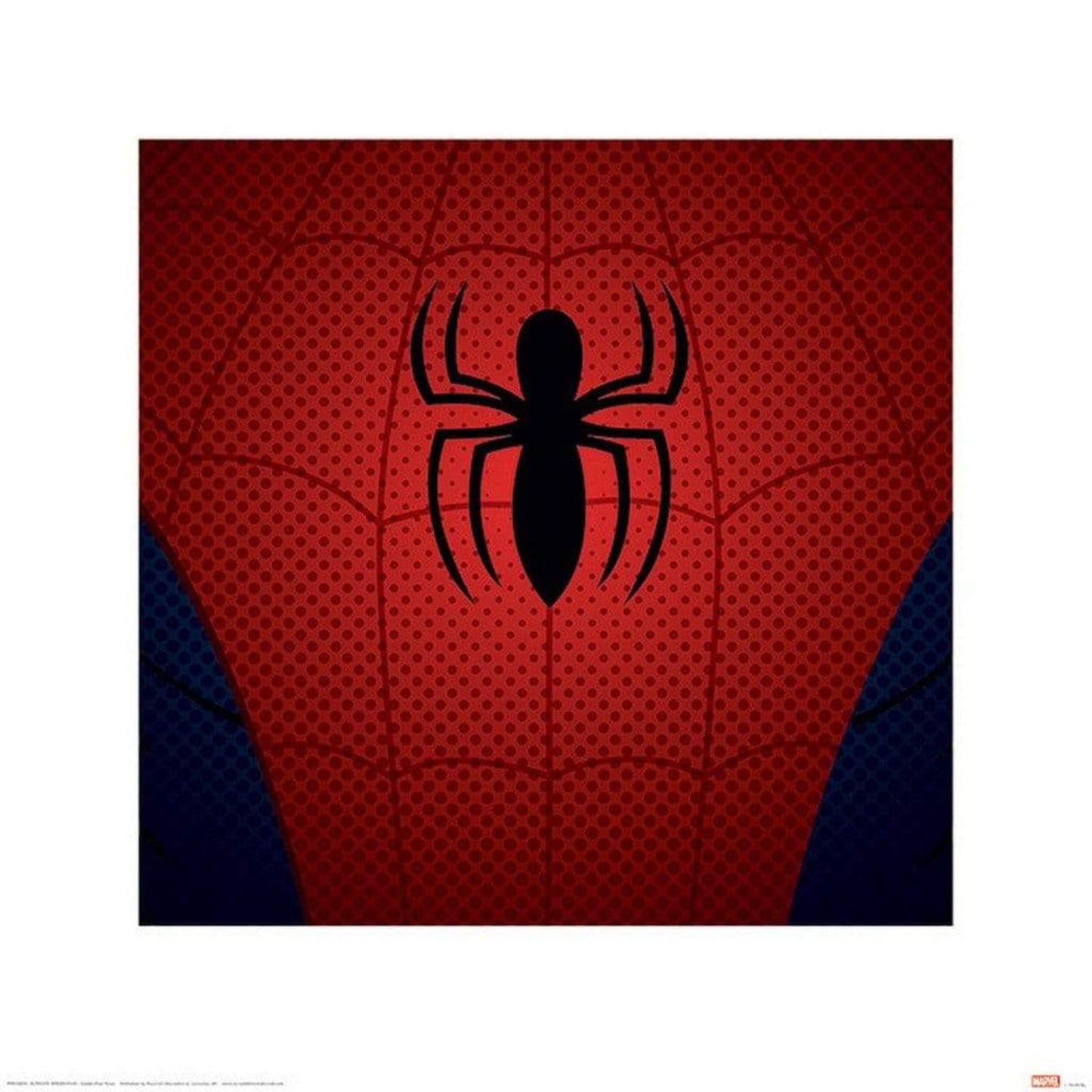 Pyramid Ultimate Spider Man Spider Man Torso Kunstdruk 40x40cm | Posters.nl