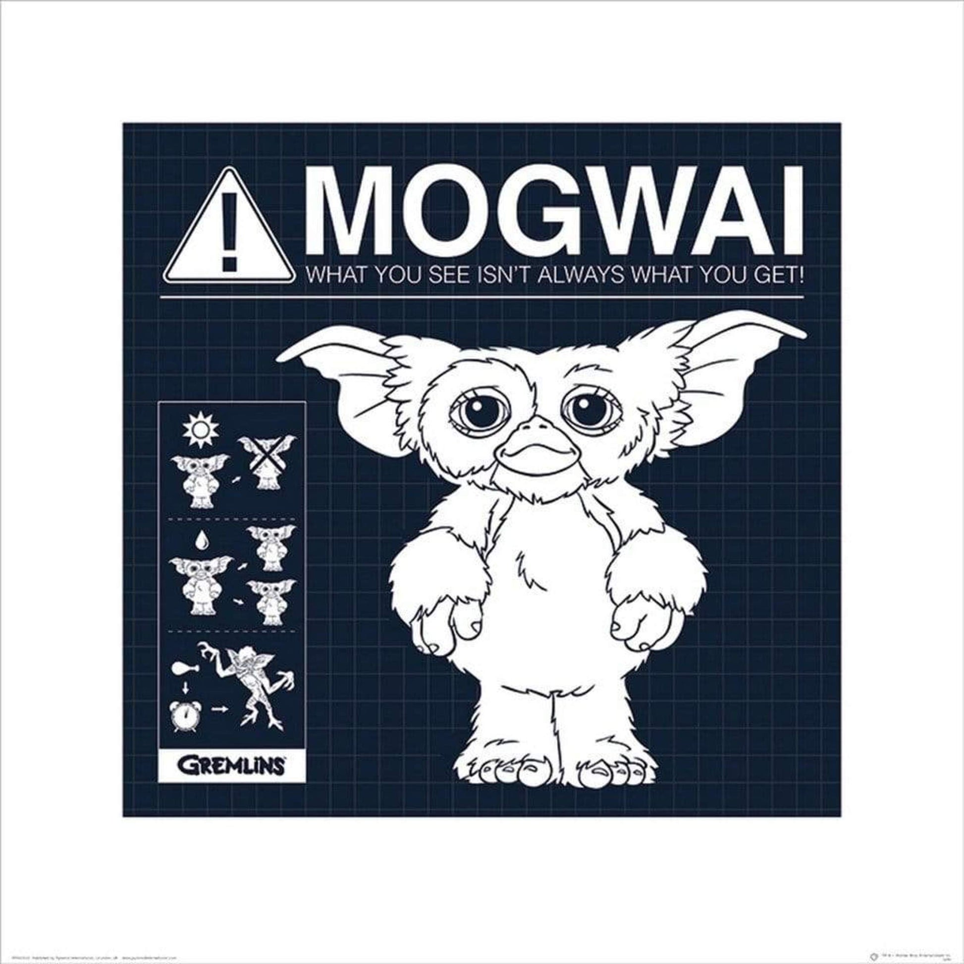Pyramid Gremlins Mogwai Rules Kunstdruk 40x40cm | Posters.nl