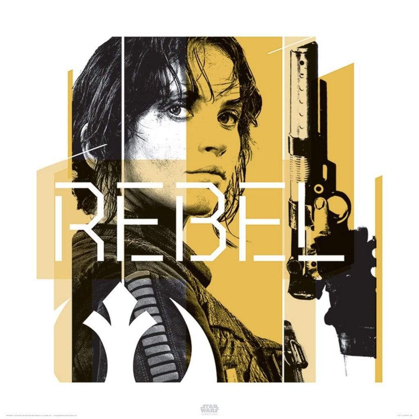 Pyramid Star Wars Rogue One Jyn Rebel Kunstdruk 40x40cm | Posters.nl