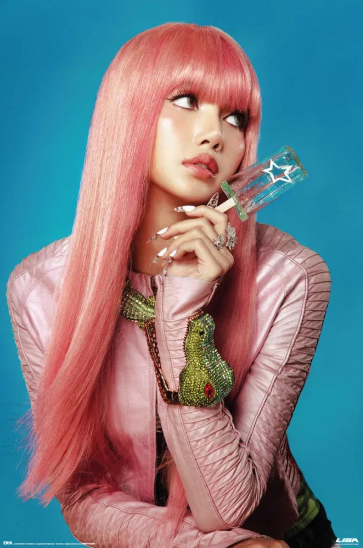 Poster Lisa 1 61x91,5cm