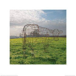 Kunstdruk Pink Floyd - Wireframe Cow 40x40cm