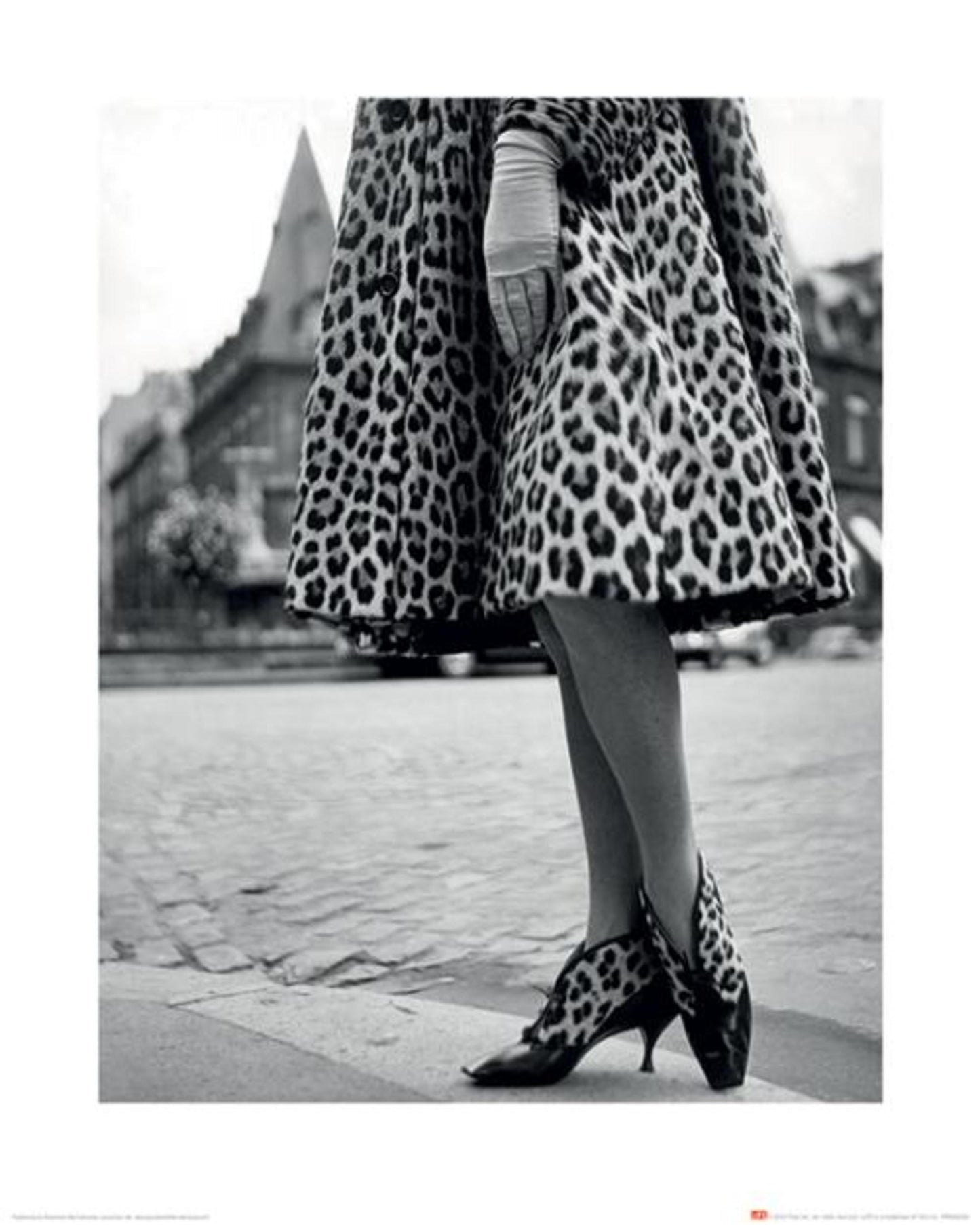 Kunstdruk Time Life - Dior Leopard Print 40x50cm