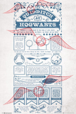 Poster Harry Potter - Quidditch at Hogwarts 61x91,5cm