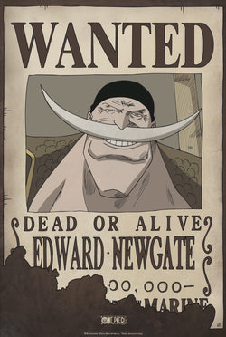 Poster One Piece - Wanted Edward Newgate 35x52cm
