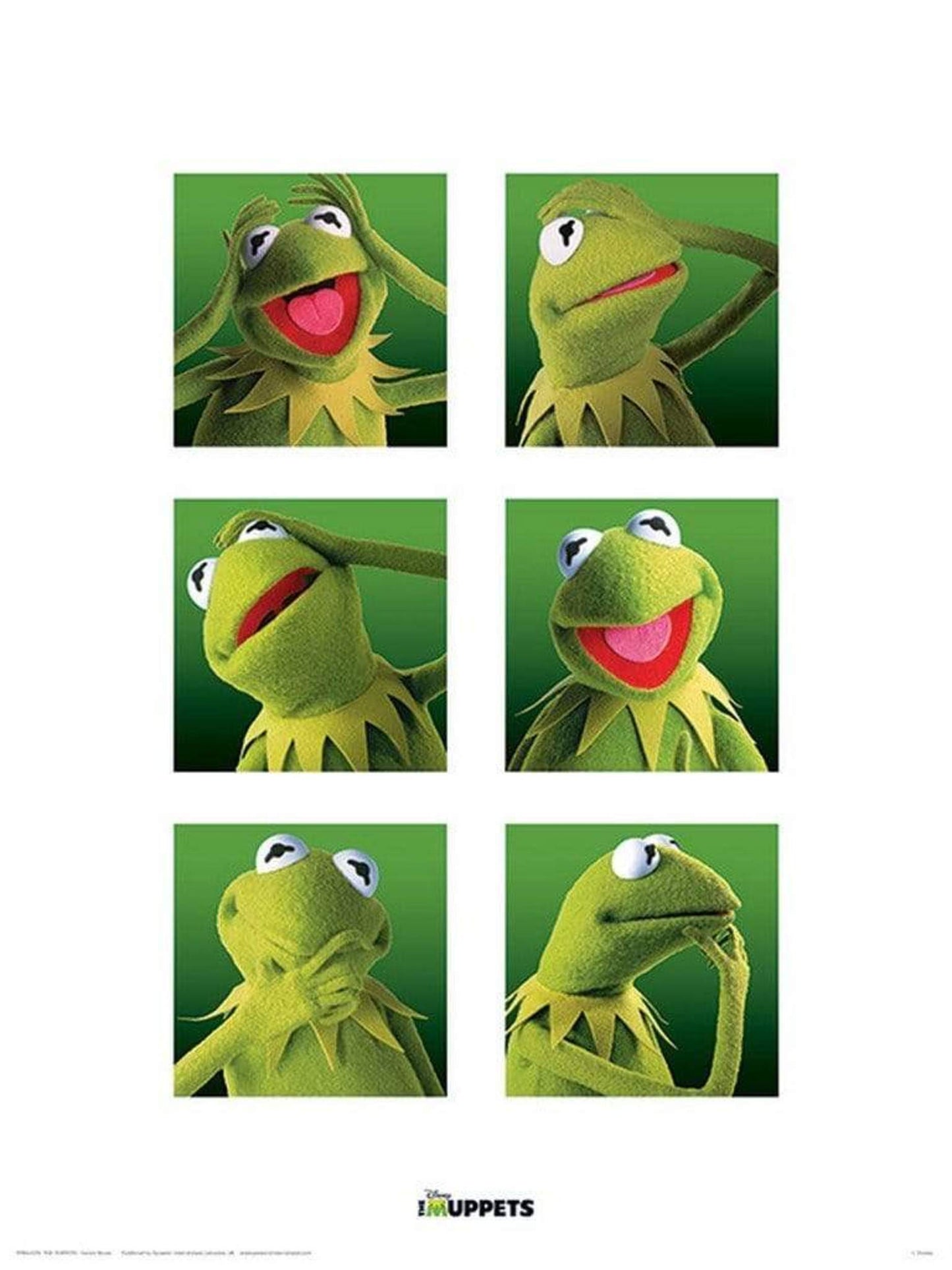 Kunstdruk The Muppets - Kermit Boxes 30x40cm