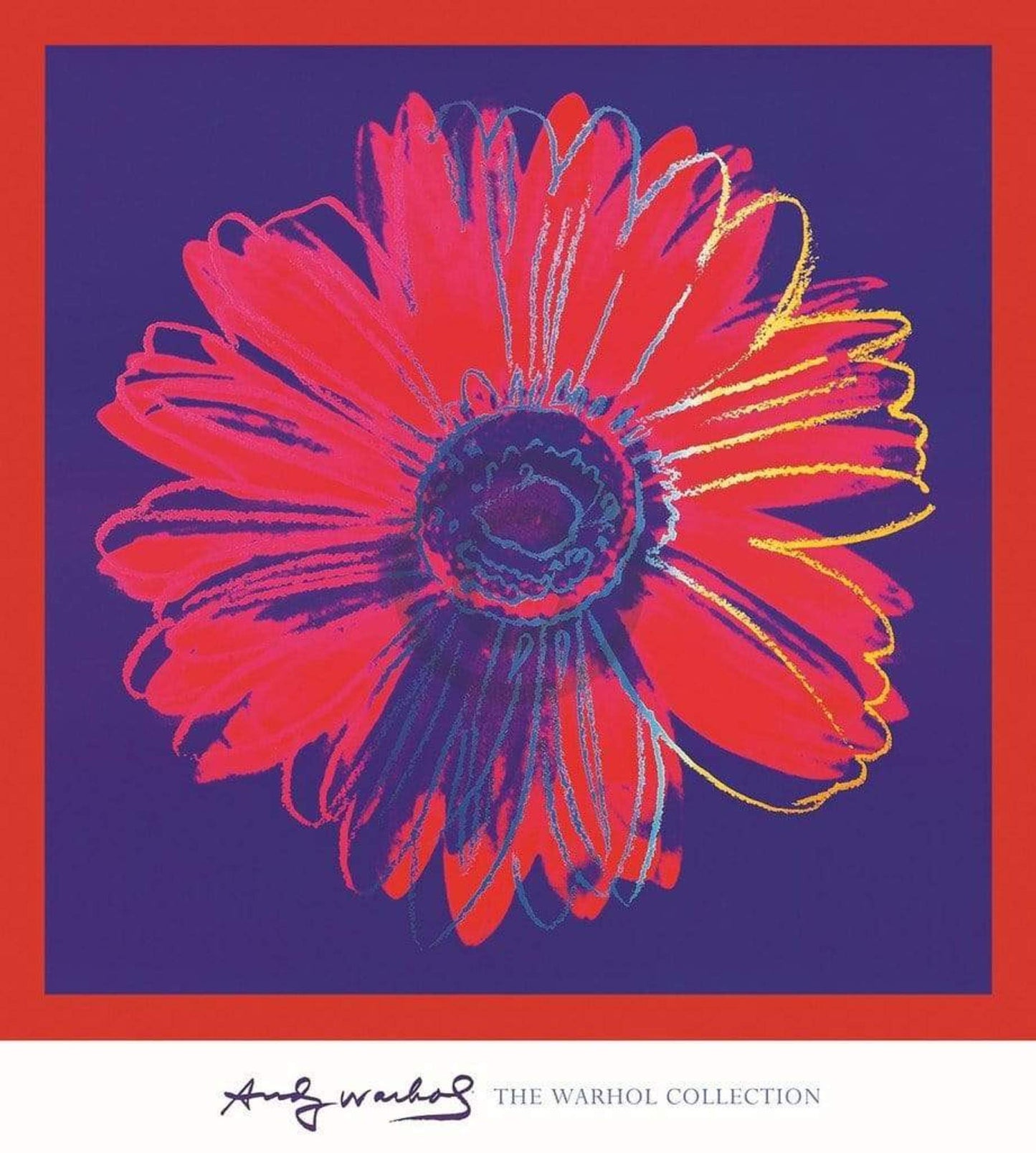 Kunstdruk Andy Warhol - Daisy 1982 90x90cm