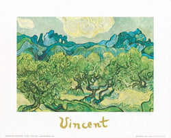 Kunstdruk Vincent Van Gogh - Landscapes with olive trees 30x24cm