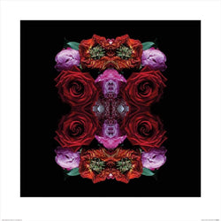 Kunstdruk Alyson Fennell - Paradise of Petals 60x60cm