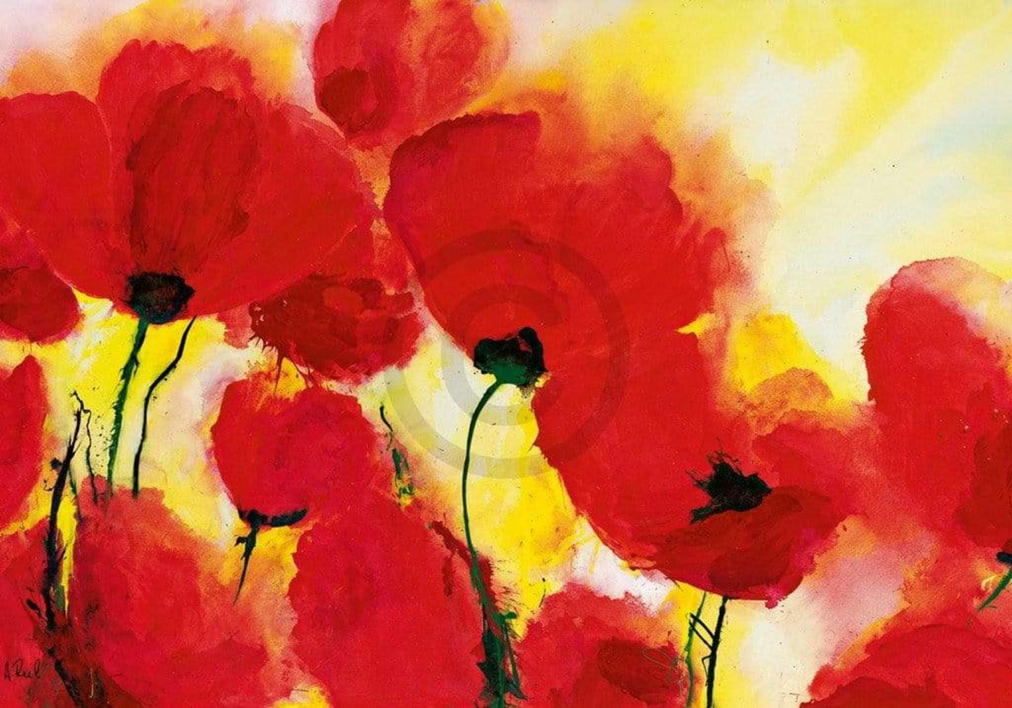 Kunstdruk Heidi Reil - Roter Mohn Toskana 100x70cm