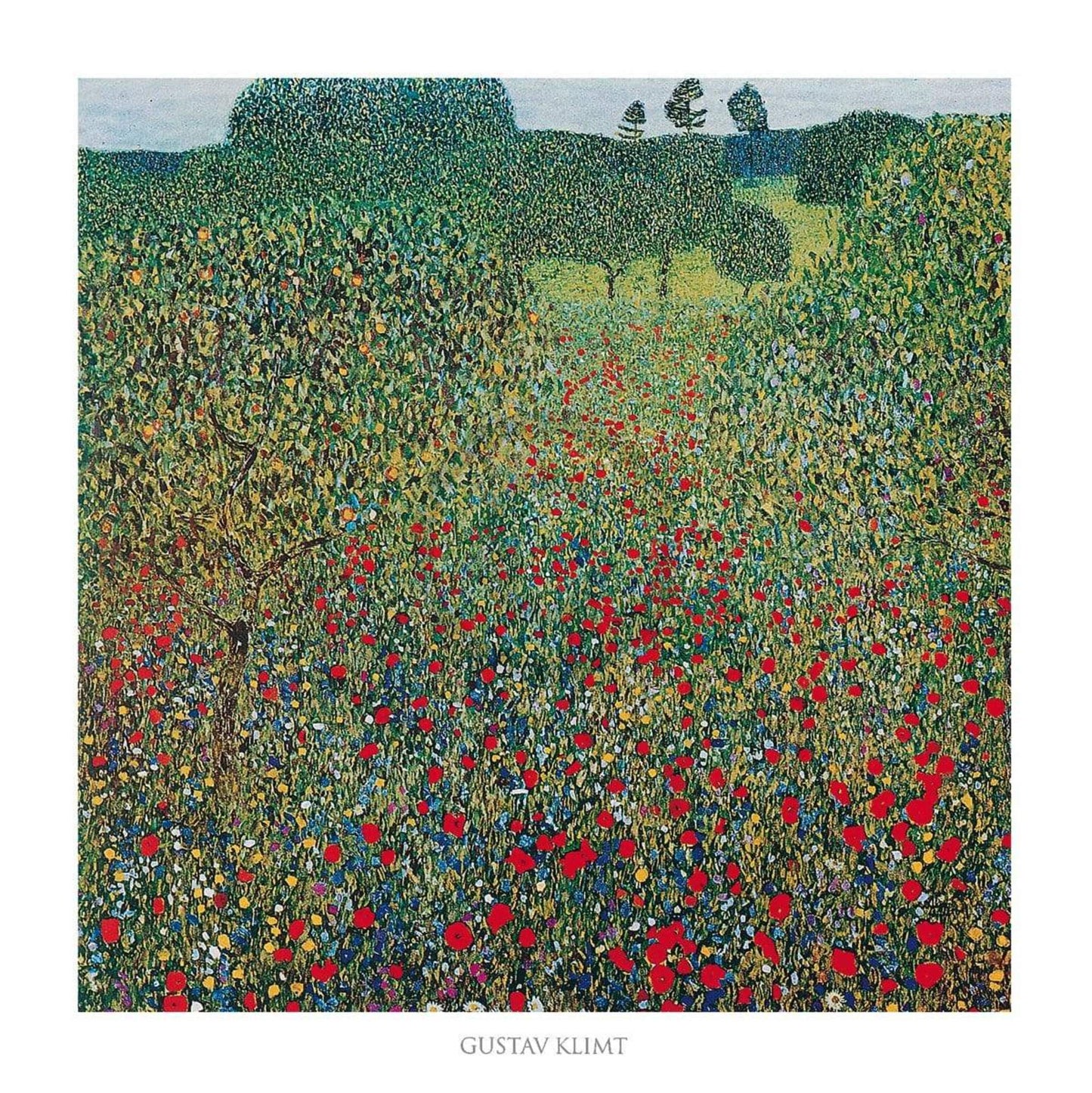 Kunstdruk Gustav Klimt - Campo di papaveri - 70x70cm