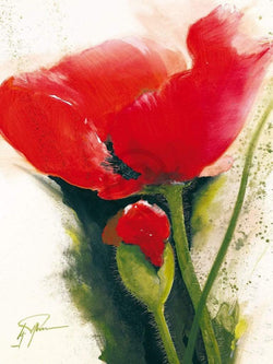 Kunstdruk Gerd Pflumm - Faszination Mohn II 60x80cm