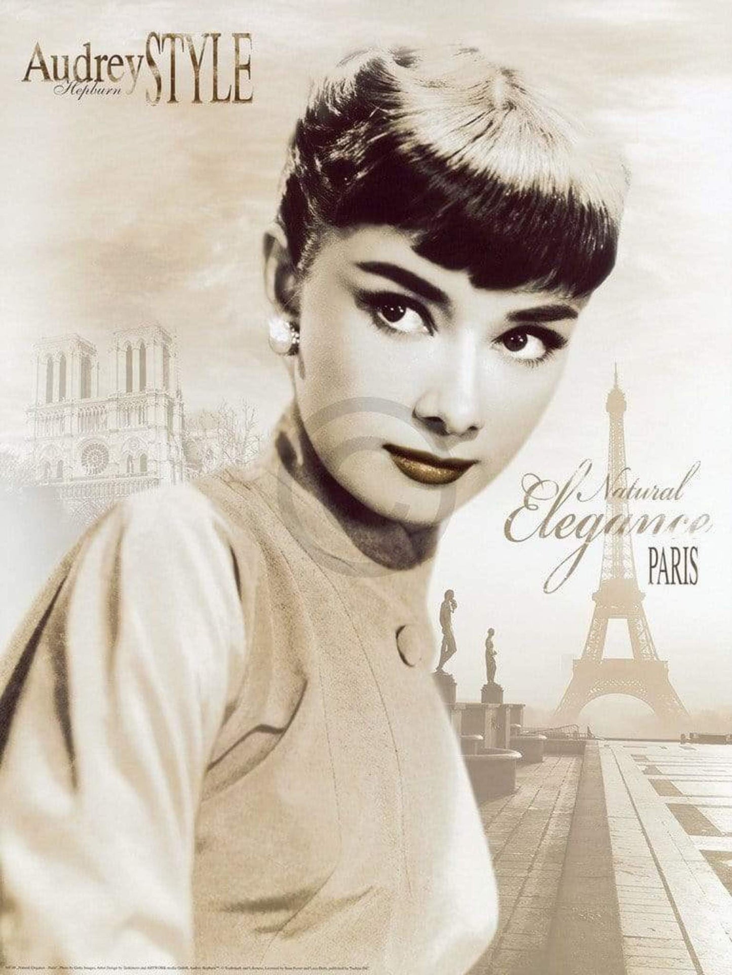 Kunstdruk Tashimoto - Natural Elegance - Paris 60x80cm