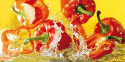 Kunstdruk Michael Meisen - Paprika 100x50cm