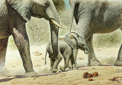 Kunstdruk Renato Casaro - Go Baby Go 100x70cm