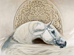 Kunstdruk Renato Casaro - Arabian Pride 80x60cm