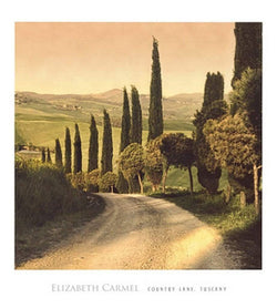 Kunstdruk Elisabeth Carmel - Country Lane, Tuscany 45x50cm