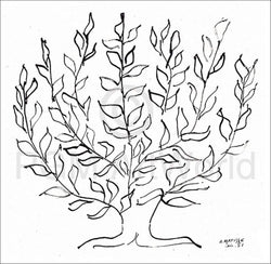 Kunstdruk Henri Matisse - Le platane 100x100cm