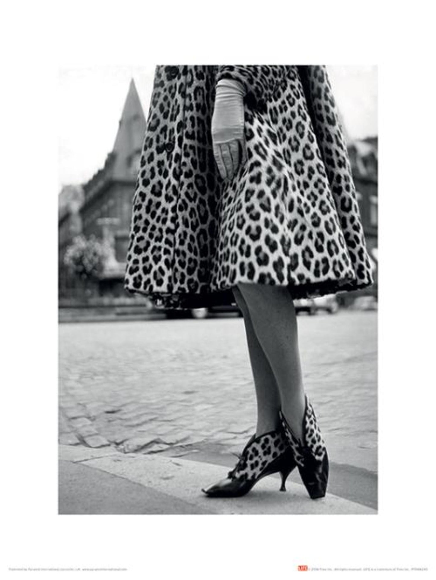 Kunstdruk Time Life - Dior Leopard Print 30x40cm