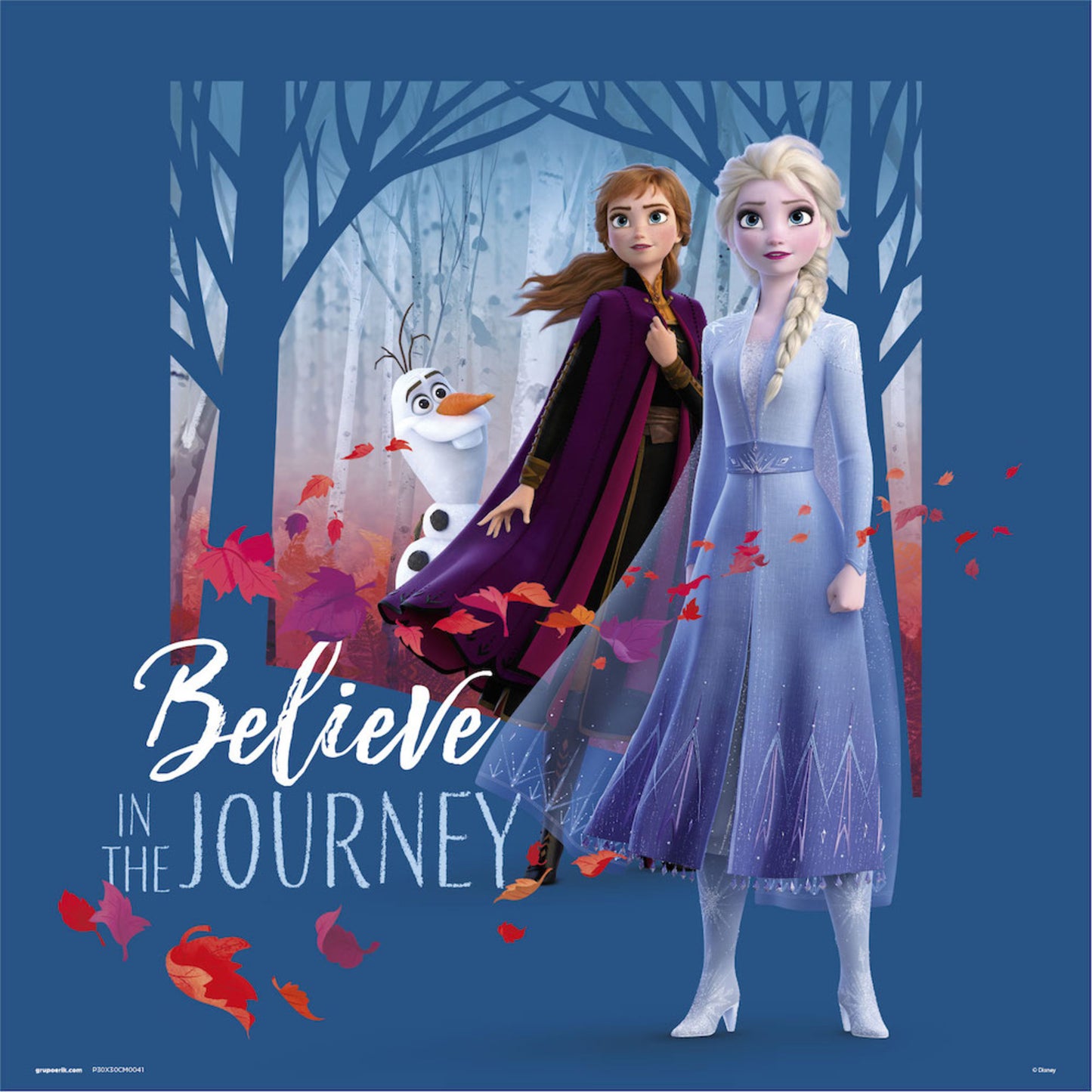 Kunstdruk Frozen - Believe in the Journey 30x30cm
