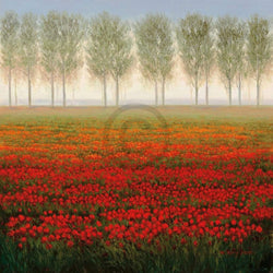 verwijderen