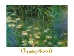 Claude Monet  Ninfee dell'Orangerie Kunstdruk 80x60cm | Posters.nl
