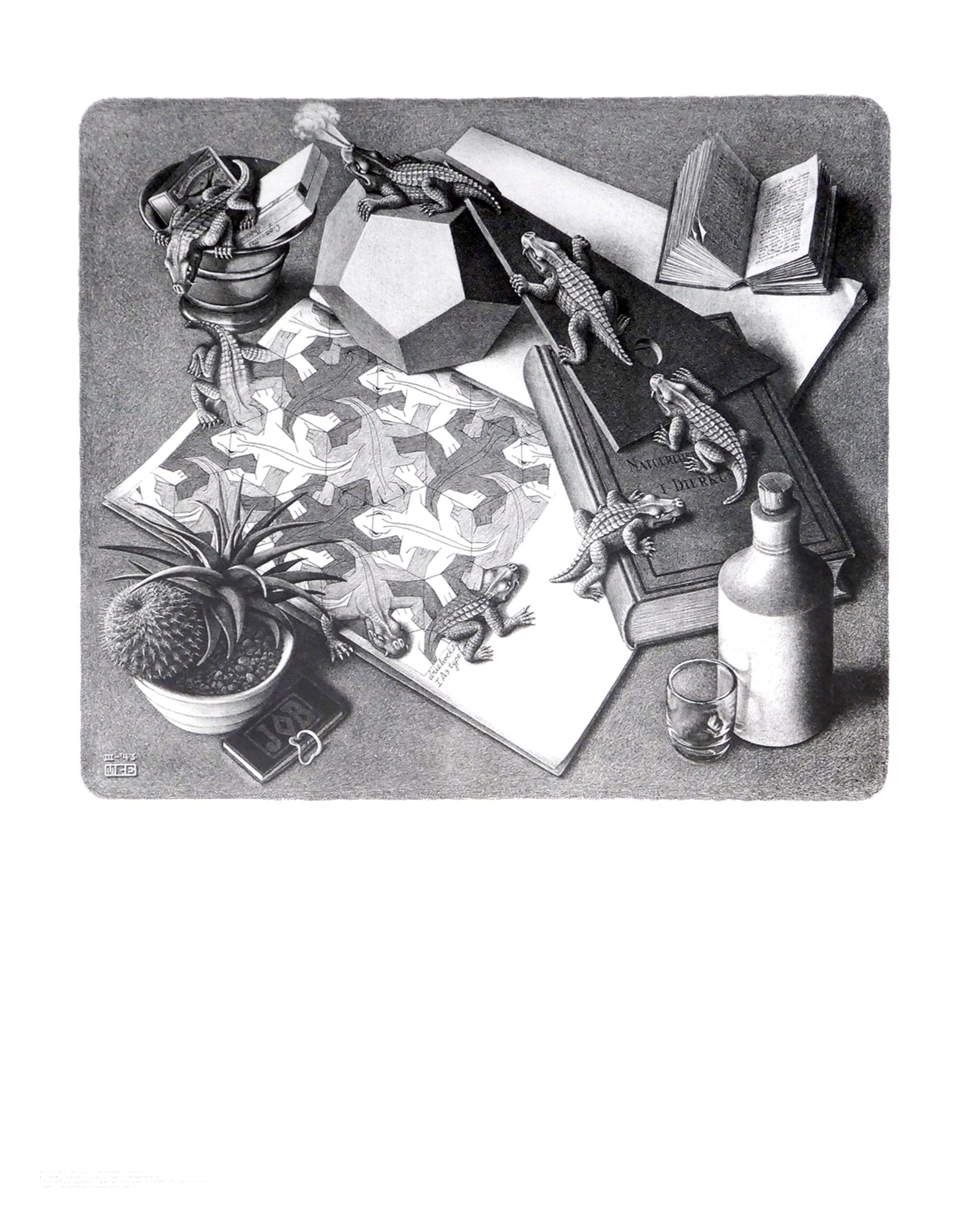 M. C. Escher  Reptilien Kunstdruk 55x65cm | Posters.nl