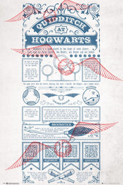 Gbeye Harry Potter Quidditch At Hogwarts Poster 61X91 5cm | Posters.nl