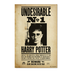 Grupo Erik Gpe5607 Poster Harry Potter Undesirable N1 | Posters.nl