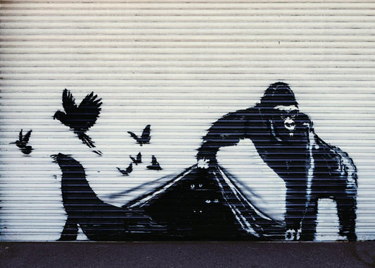 Kunstdruk Banksy - Gorilla London Zoo 70x50cm