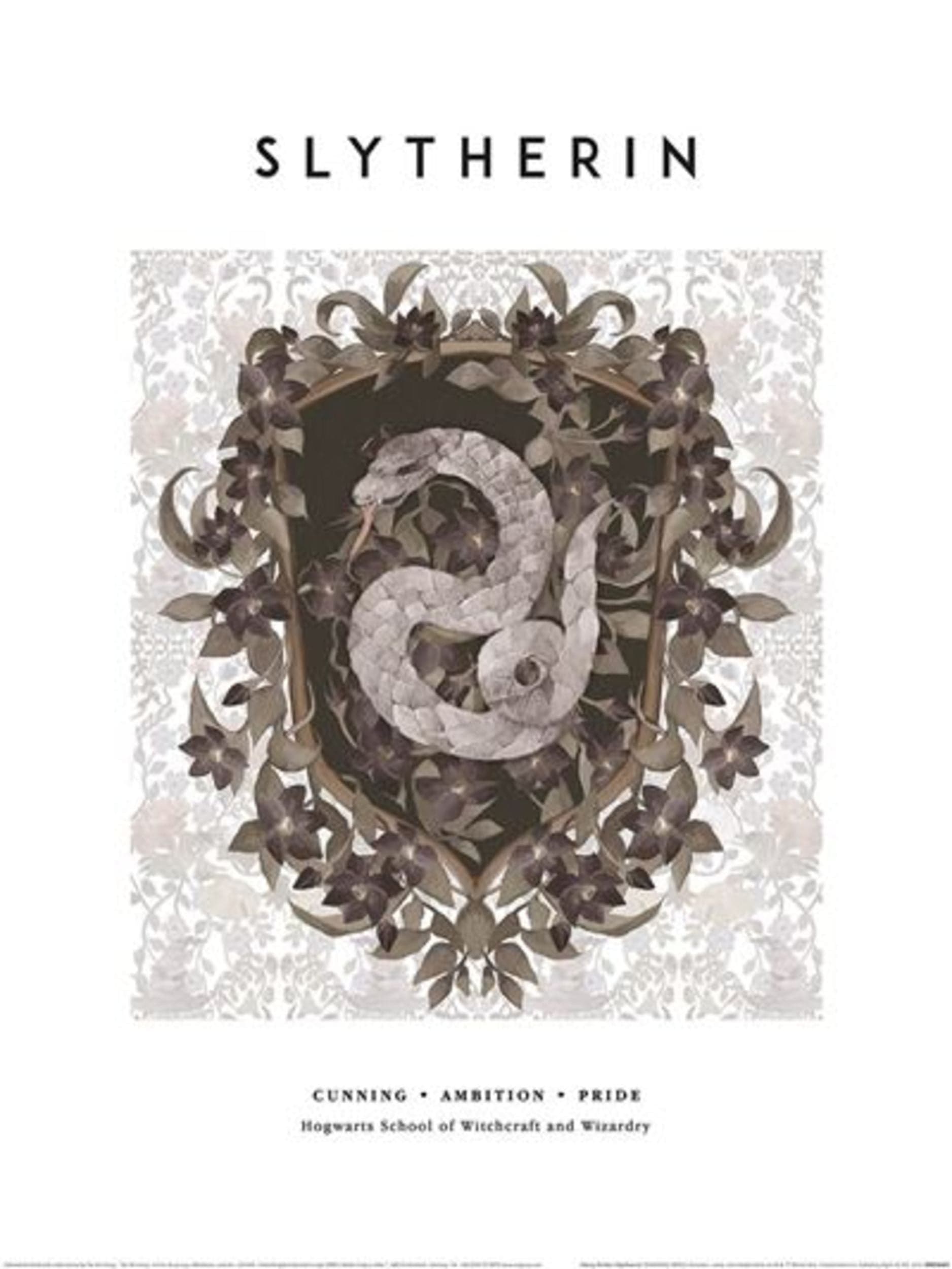 Kunstdruk Harry Potter Slytherin 30x40cm Pyramid PPR54401 | Posters.nl