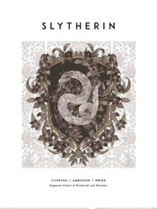Kunstdruk Harry Potter Slytherin 30x40cm Pyramid PPR54401 | Posters.nl