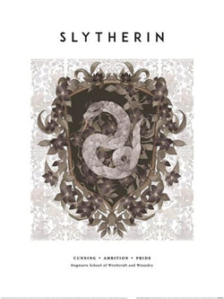 Kunstdruk Harry Potter Slytherin 30x40cm Pyramid PPR54401 | Posters.nl