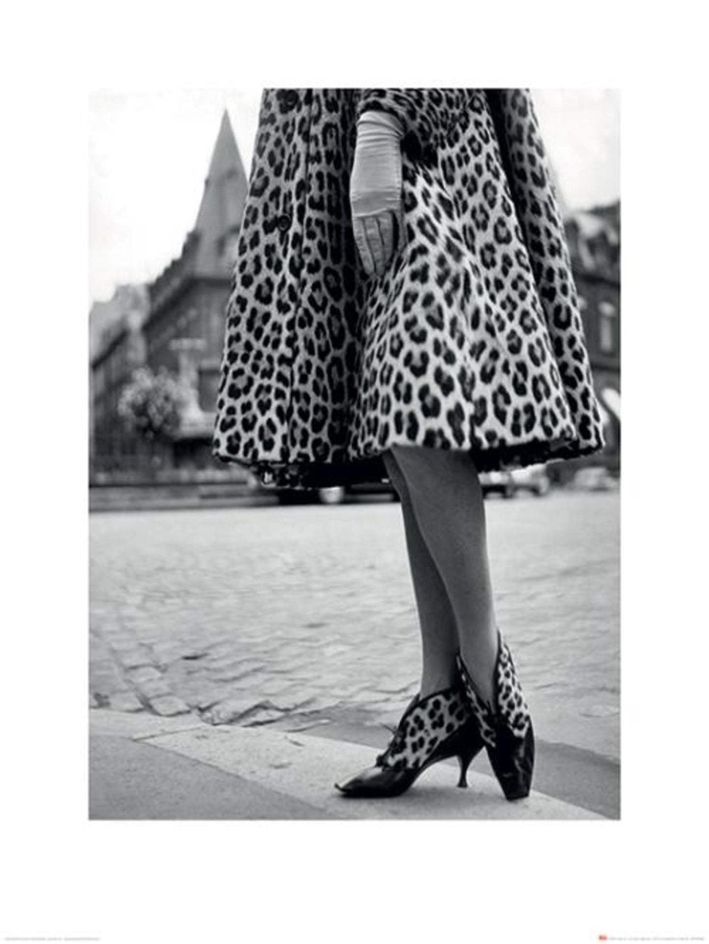 Kunstdruk Time Life Dior Leoparprint 60x80cm Pyramid PPR40468 | Posters.nl