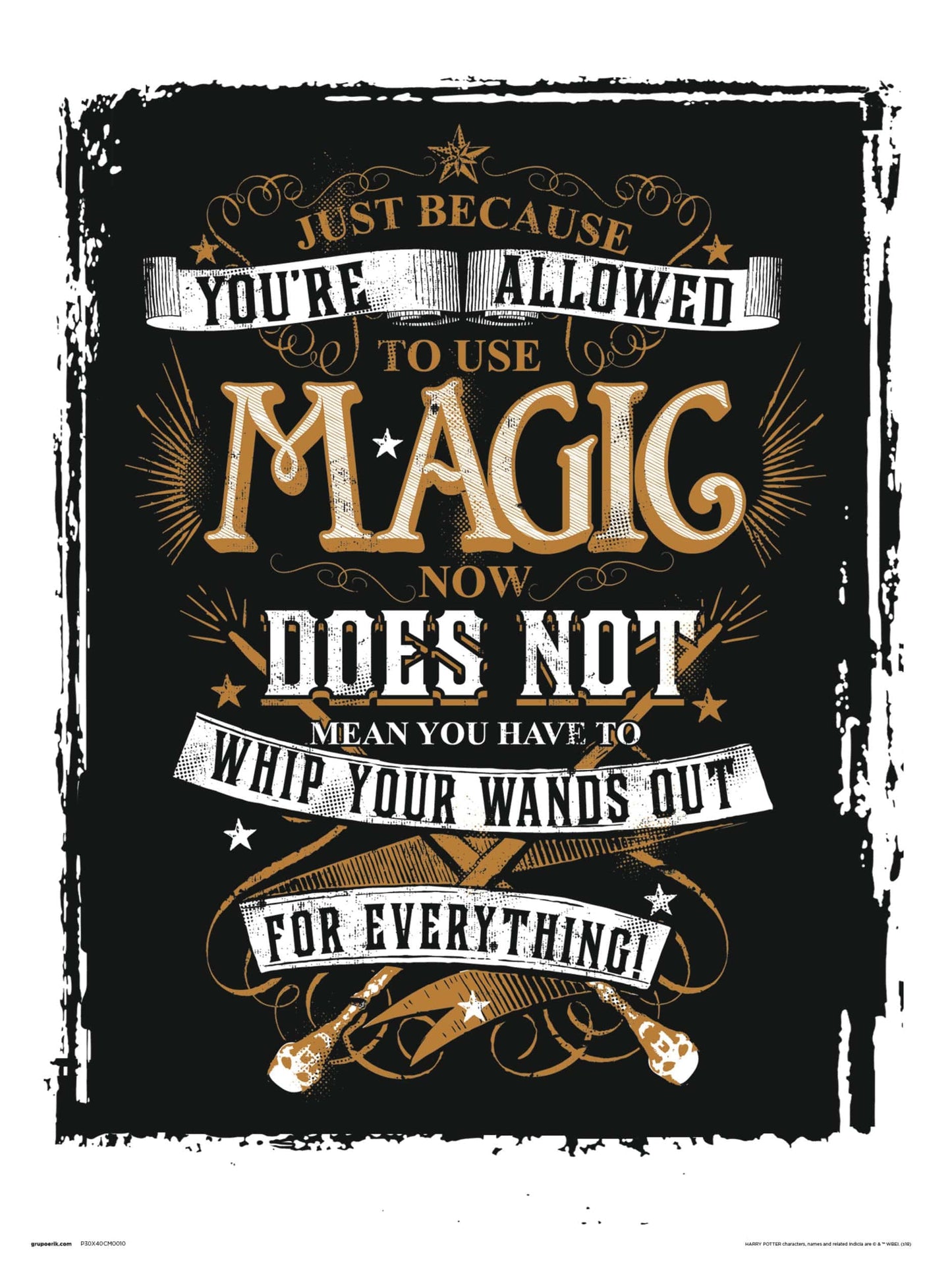 Grupo Erik Harry Potter Magic Kunstdruk 30X40cm | Posters.nl