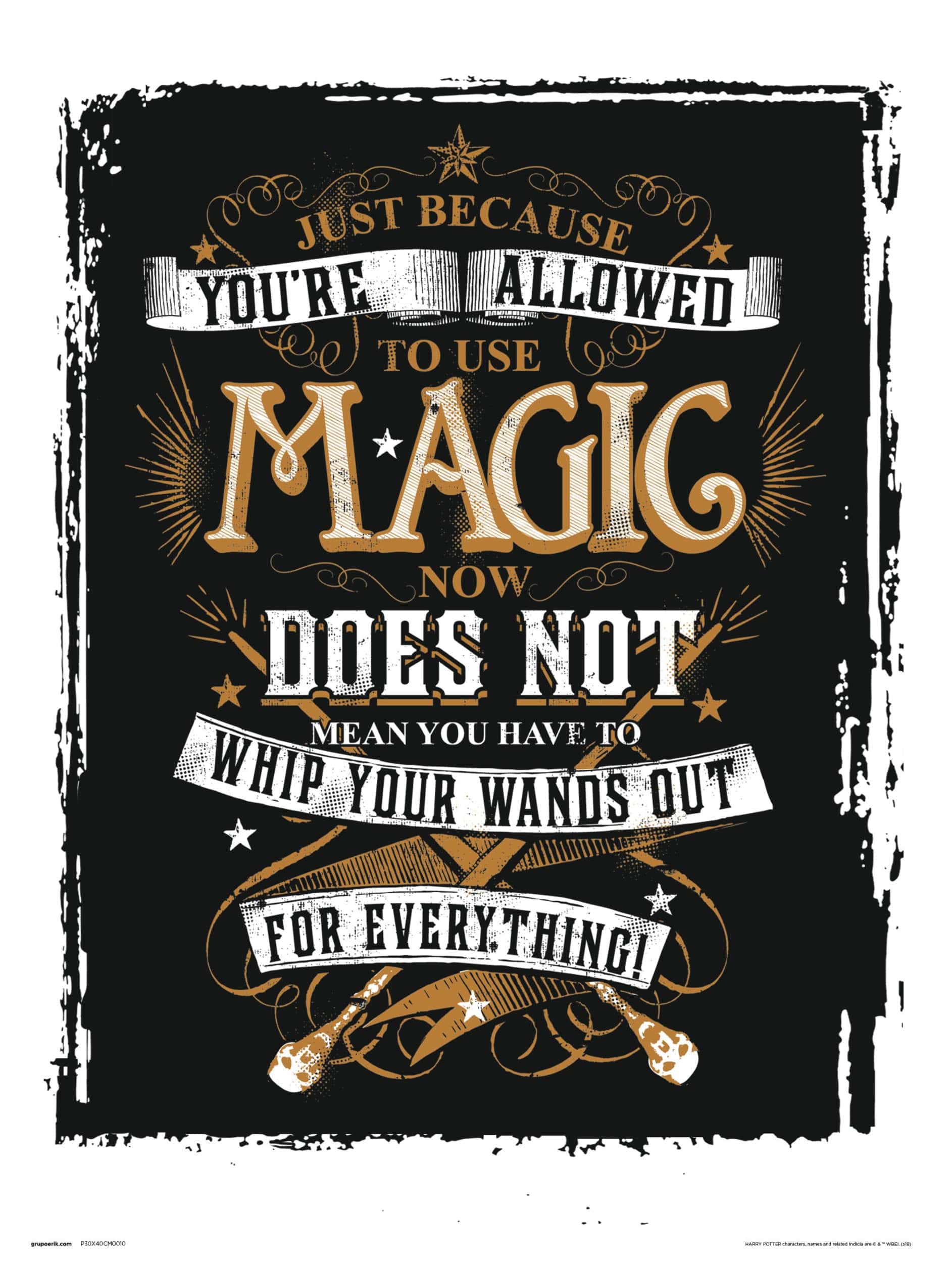 Grupo Erik Harry Potter Magic Kunstdruk 30X40cm | Posters.nl