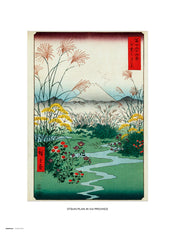 Grupo Erik Otsuki Plain In Kai Province Kunstdruk 30X40cm | Posters.nl