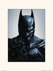 Grupo Erik Dc Batman Arkham Origins Kunstdruk 30X40cm | Posters.nl