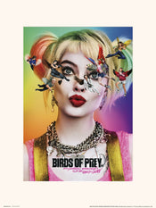 Grupo Erik Birds Of Prey Dazed And Confused Kunstdruk 30X40cm | Posters.nl