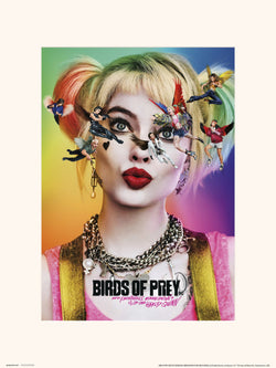 Grupo Erik Birds Of Prey Dazed And Confused Kunstdruk 30X40cm | Posters.nl