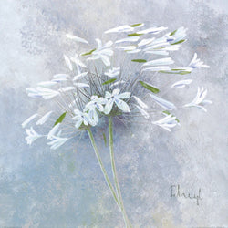 PGM FZH 145 Franz Heigl Enchanted I Kunstdruk 60x60cm | Posters.nl