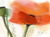 PGM PMG 03 Gerd Pflumm Faszination Mohn III Kunstdruk 80x60cm | Posters.nl