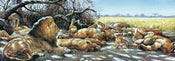 PGM RCA 49 Renato Casaro After breakfast Kunstdruk 99x34cm | Posters.nl