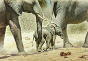PGM RCA 54 Renato Casaro Go Baby Go Kunstdruk 100x70cm | Posters.nl