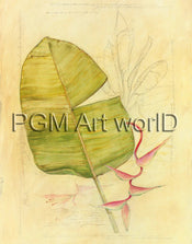 PGM TNA 52 Avery Tillmon Botanical Journal I Kunstdruk 56x71cm | Posters.nl