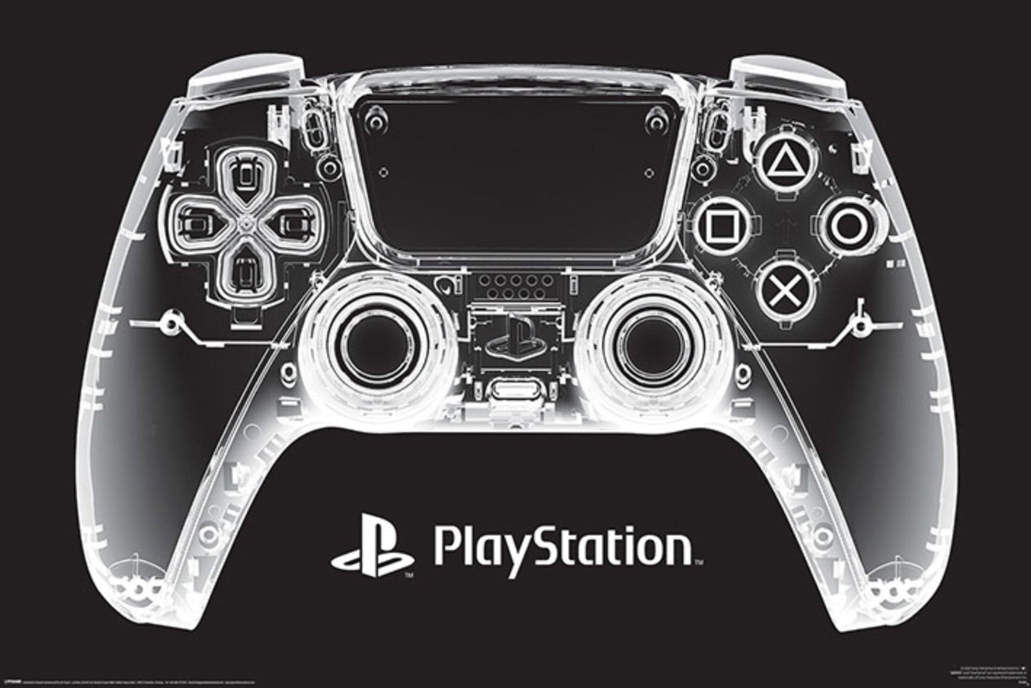 Pyramid PP34994 Playstation X Ray Pad Poster | Posters.nl