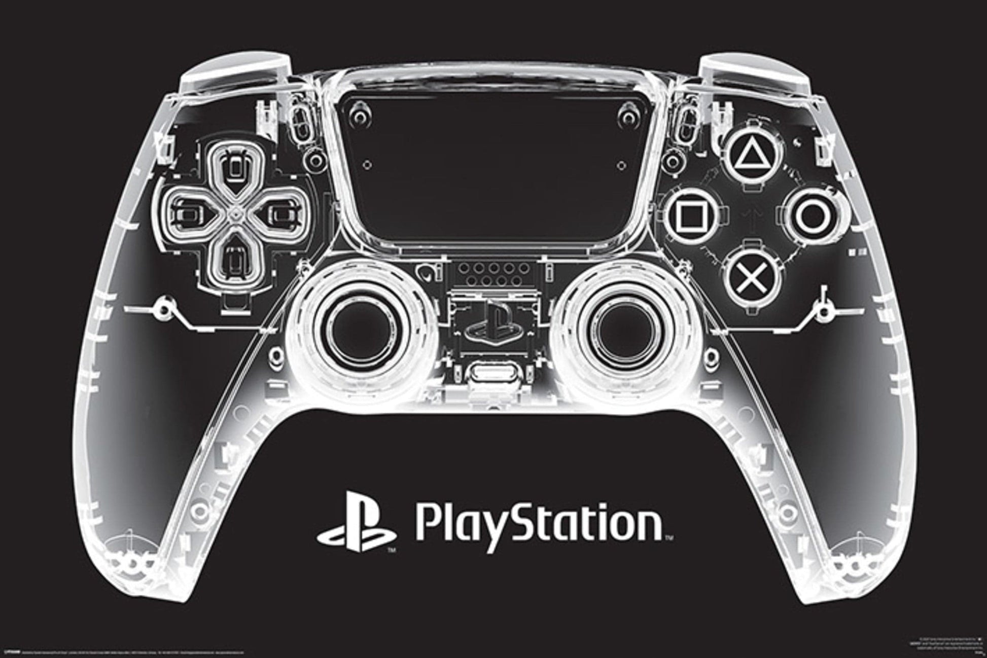 Pyramid PP34994 Playstation X Ray Pad Poster | Posters.nl