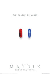 Pyramid PP34999 The Matrix Resurrections The Choice Is Yours Poster | Posters.nl