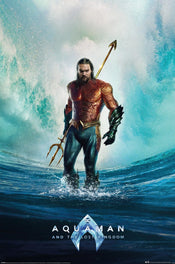 Poster Aquaman and The Lost Kingdom 61x91 5cm Pyramid PP35066 | Posters.nl