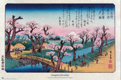 Poster Cherry Trees At Koganei Utagawa Hiroshige 61x91 5cm Grupo Erik GPE5930 | Posters.nl