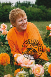 Poster Ed Sheeran Rose Field 61x91 5cm Abystyle GBYDCO396 | Posters.nl